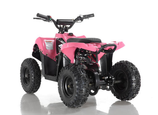 Apollo Volt 500W Electric Mini Bike