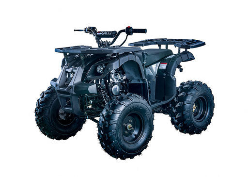 125cc ATV UTILITY Upgraded
