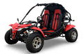 200cc JAG Go Kart EFI
