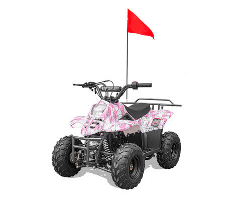 110cc ATV