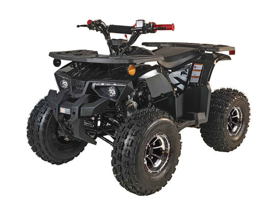 125cc ATV PHANTOM UTILITY DELUXE