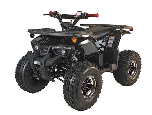 125cc ATV PHANTOM UTILITY DELUXE