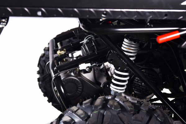 200 CROSS FIRE UTV EFI - DUMB BED