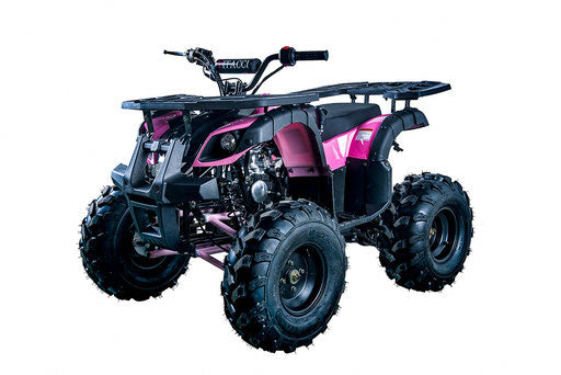 125cc ATV UTILITY Upgraded
