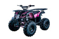 125cc ATV UTILITY Upgraded
