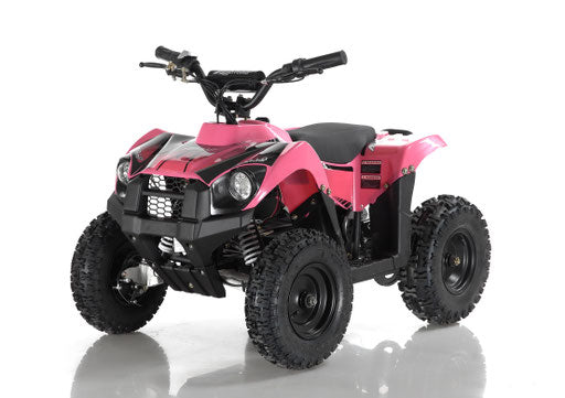 Apollo Volt 500W Electric Mini Bike