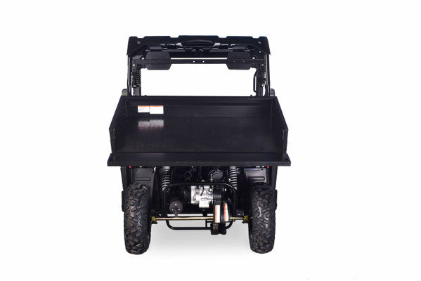 200 CROSS FIRE UTV EFI - DUMB BED