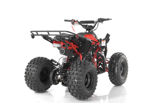 125cc Blazer ATV