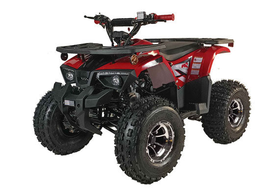 125cc ATV PHANTOM UTILITY DELUXE