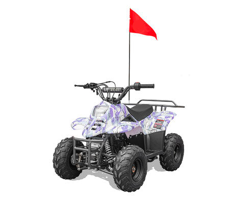 110cc ATV