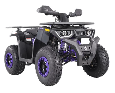 200cc Coleman ATV
