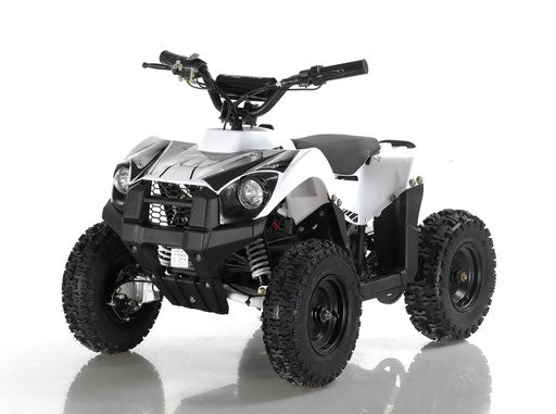 Apollo Volt 500W Electric Mini Bike